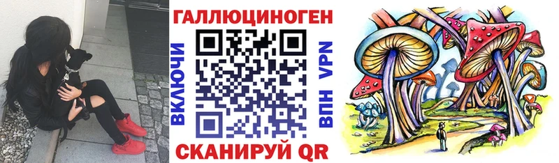 Псилоцибиновые грибы Magic Shrooms  Белгород 